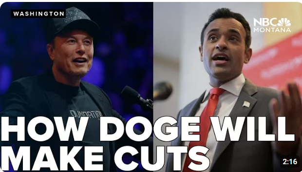 D.O.G.E IS GOING TO EAT YOUR JOB?