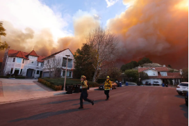 Pacific Palisades Fire 