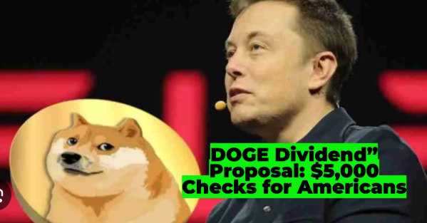 doge dividend,