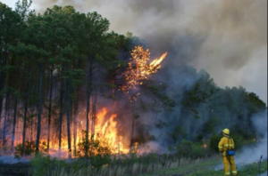 South Carolina Fires: Raging Wildfires Threaten Homes, Nature,&hellip;