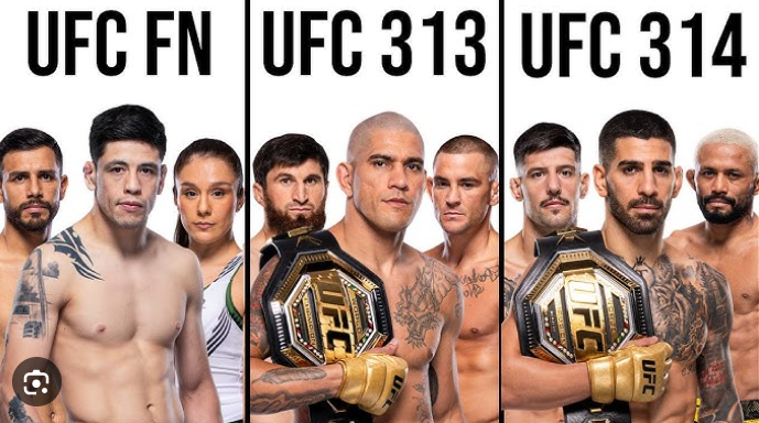 UFC 313 Fight Card