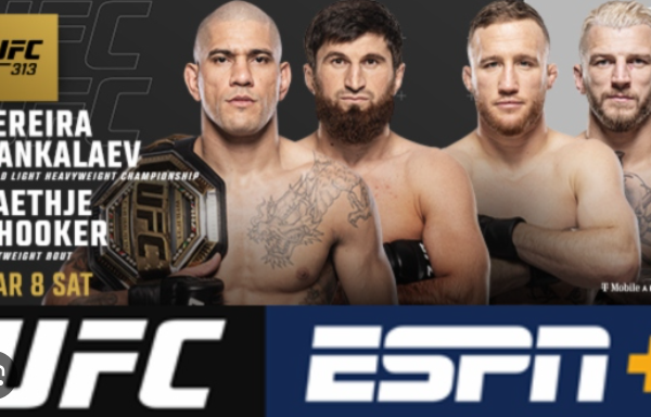 UFC 313 Fight Card: Pereira vs. Ankalaev Headlines&hellip;