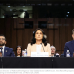 Tulsi Gabbard’s Unexpected Move: A New Role in the Senate Intelligence Committee?