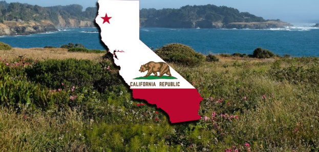 california crisis,